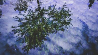 Labs de innovación corporativa: modelos que funcionan vs los que fracasan