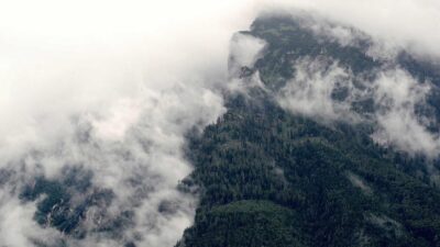 Alianzas estratégicas tech: cuando la colaboración supera a la competencia