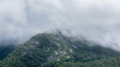 El estado del Venture Capital en Latam 2026: recuperación selectiva